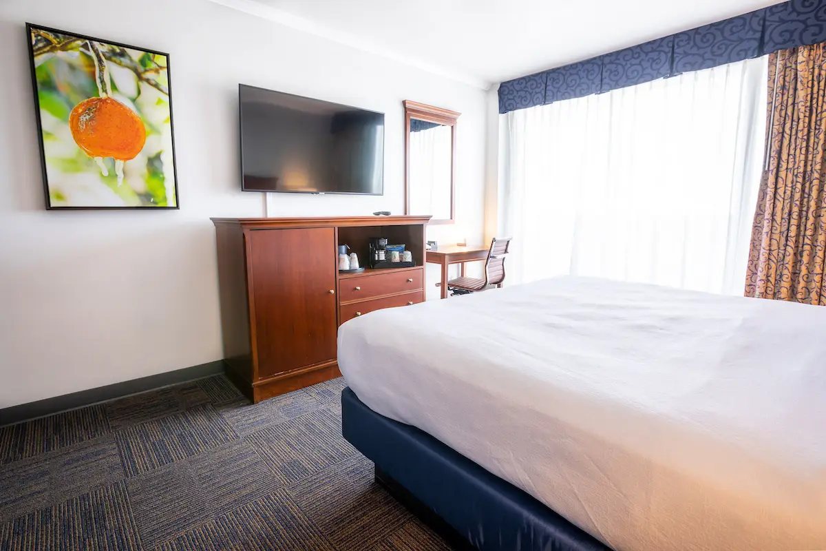 A hotel room with a bed, TV, and window. The bed has a white comforter and a blue base. A TV is mounted on the wall above a wooden dresser. A window with a blue valance and patterned curtains is visible.